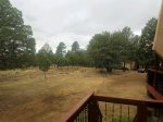 Wooded view off deck